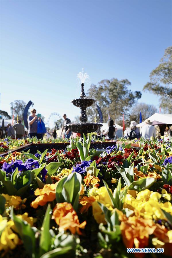 AUSTRALIA-CANBERRA-FLORIADE