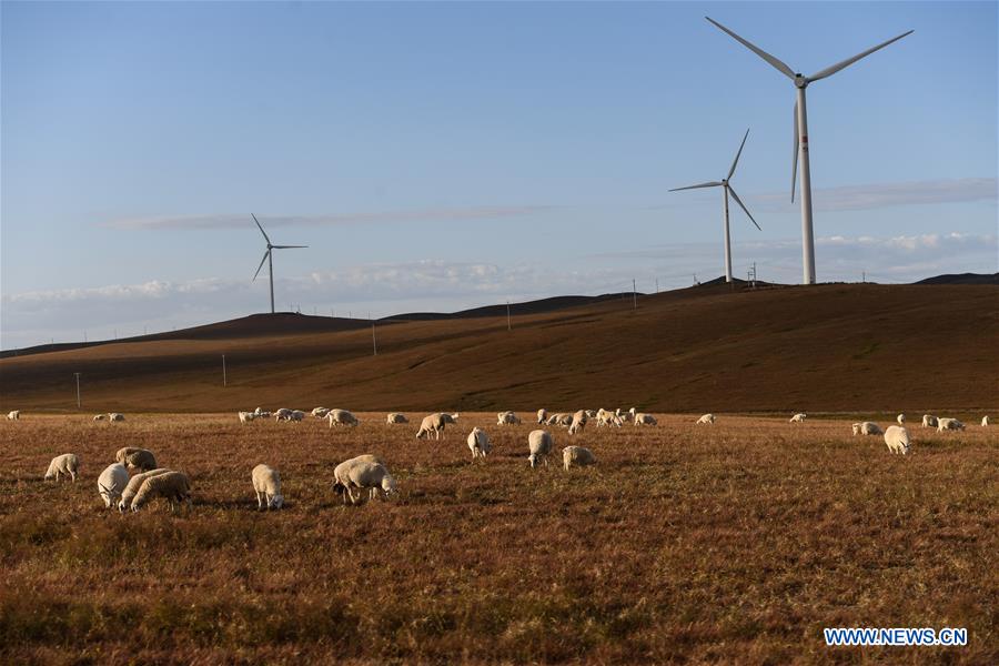 CHINA-INNER MONGOLIA-GRASSLAND-SCENERY (CN)