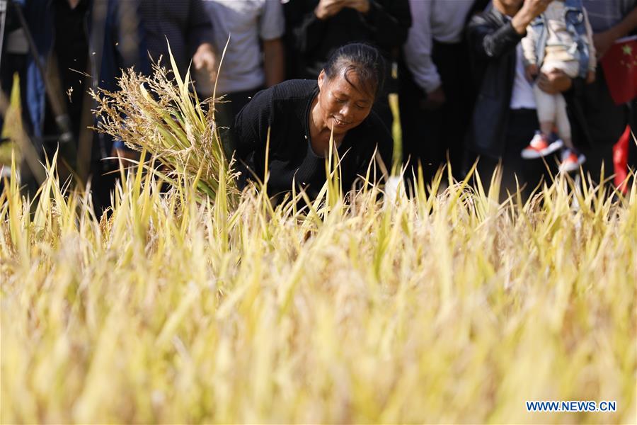 CHINA-HARVEST FESTIVAL-CELEBRATION (CN)