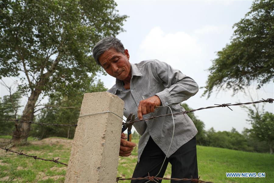 CHINA-LIAONING-FUXIN-FOREST PROTECTION (CN)