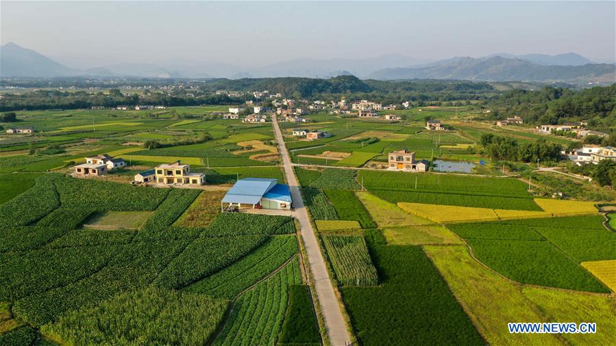 CHINA-GUANGXI-AUTUMN-AERIAL VIEW (CN)