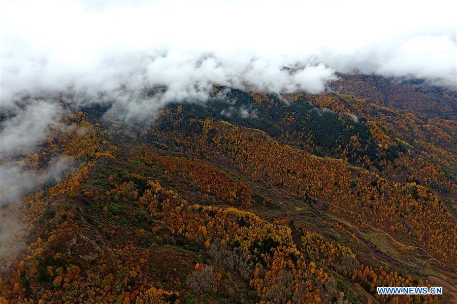 CHINA-SHANXI-PANGQUANGOU-NATURE RESERVE (CN)