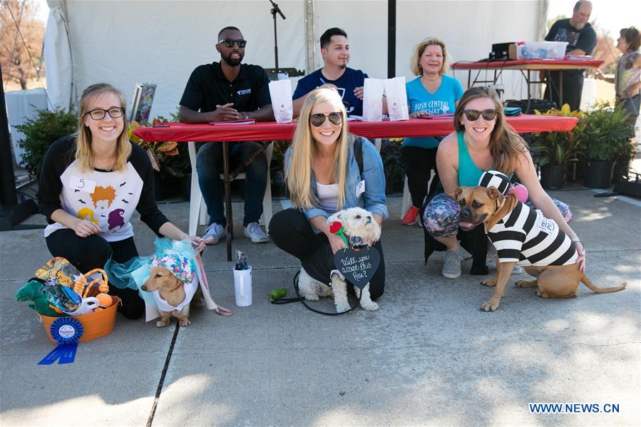 U.S.-DALLAS-DOG FESTIVAL