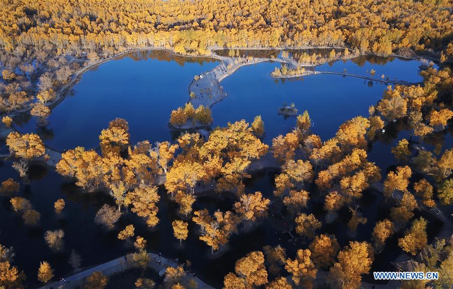 CHINA-JIUQUAN-AUTUMN SCENERY (CN)