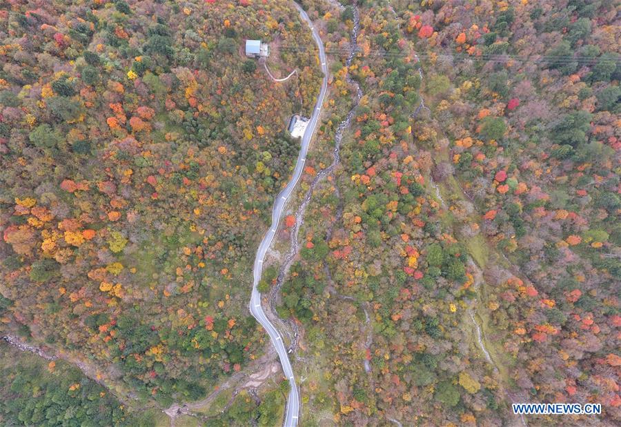 CHINA-SICHUAN-TIANQUAN-AUTUMN SCENERY (CN)