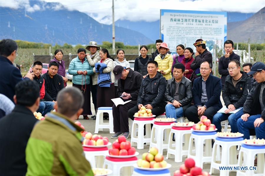 CHINA-TIBET-NYINGCHI-APPLE-TRAINING (CN)