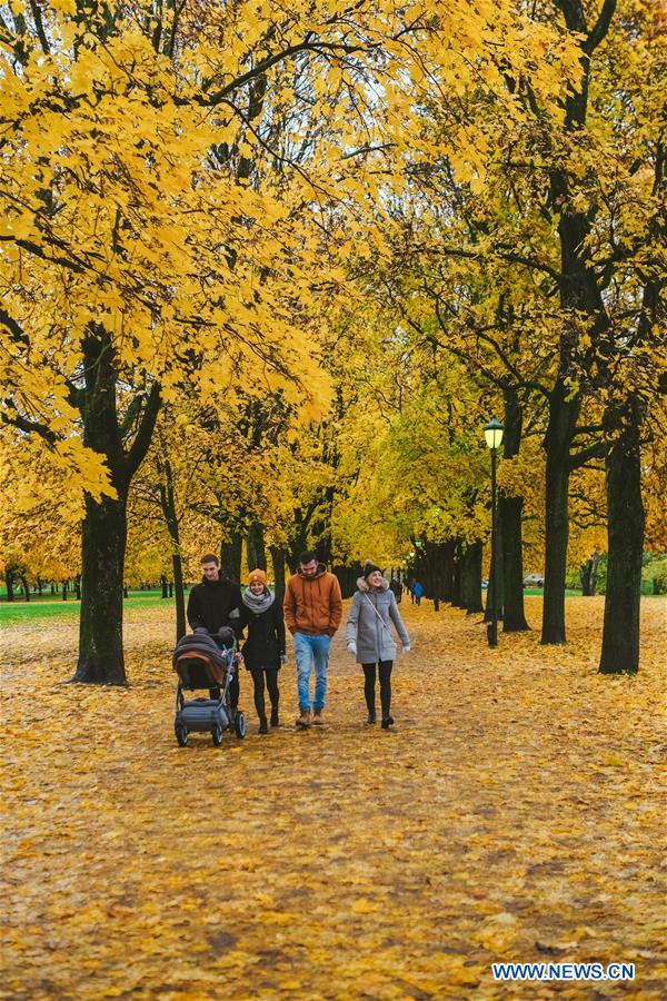 NORWAY-AUTUMN-SCENERY