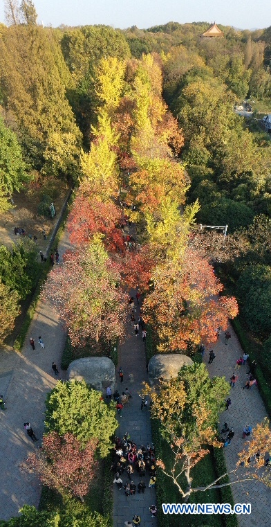 CHINA-NANJING-AUTUMN-XIAOLING MAUSOLEUM-SCENERY (CN)