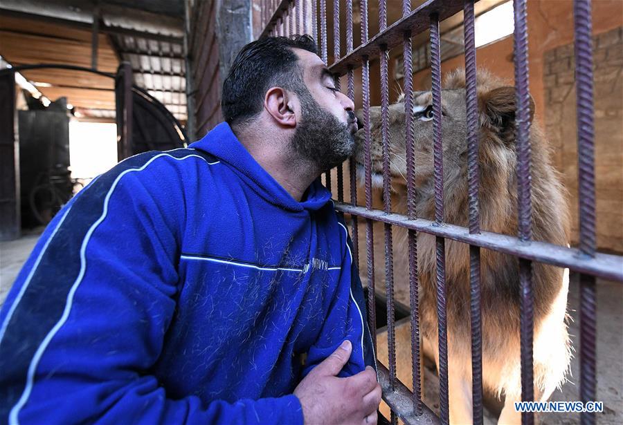 SYRIA-DAMASCUS-ANIMAL COLLECTOR