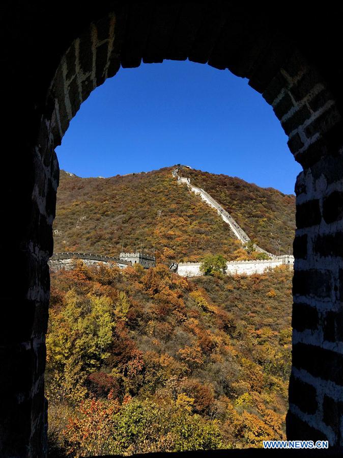 (BeijingCandid)CHINA-BEIJING-AUTUMN (CN)