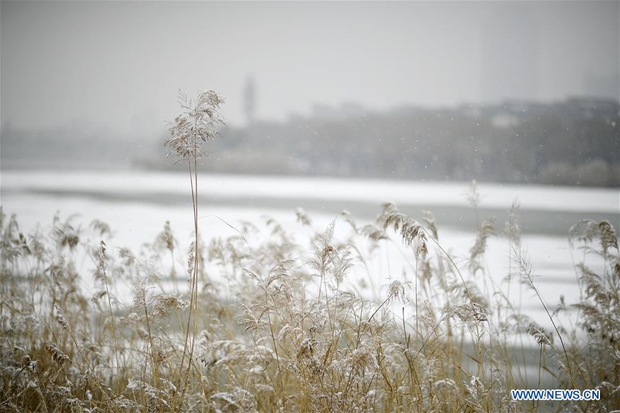 CHINA-NINGXIA-YINCHUAN-SNOWFALL (CN)