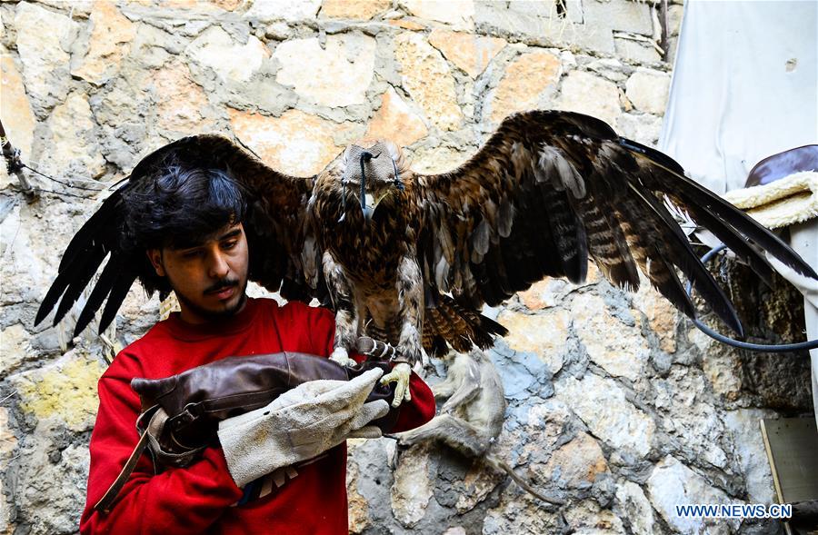 MIDEAST-GAZA-HOBBY-SNAKE AND FALCON