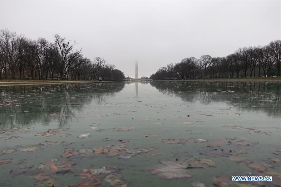 U.S.-WASHINGTON D.C.-FOG