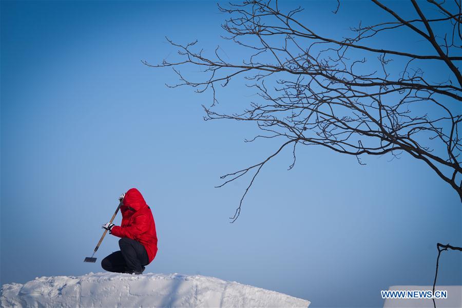 CHINA-HEILONGJIANG-HARBIN-COLLEGE STUDENT-SNOW SCULPTURE COMPETITION (CN)