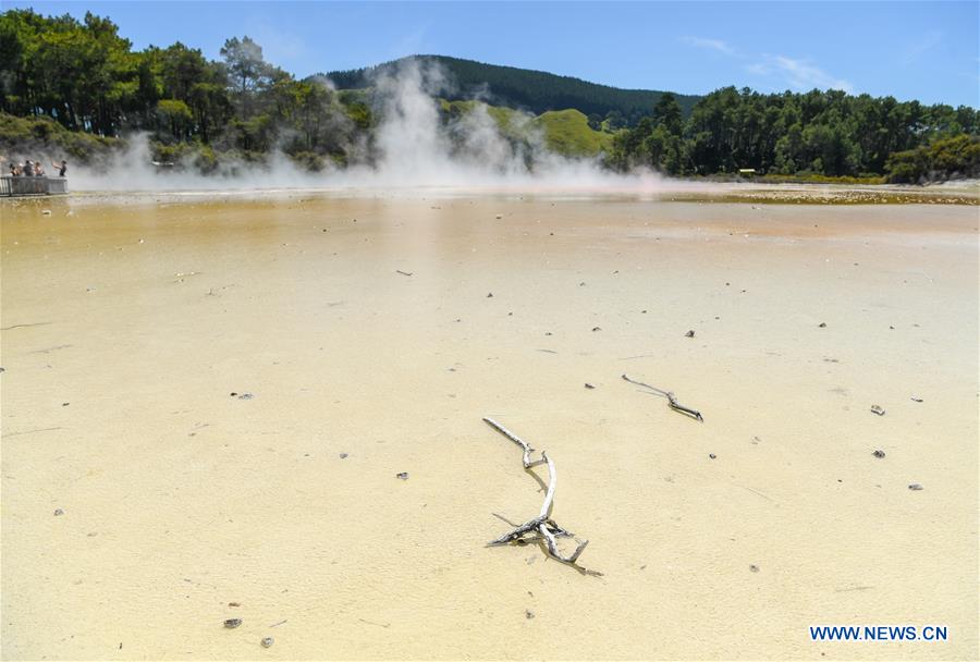 NEW ZEALAND-ROTORUA-WAI-O-TAPU THERMAL WONDERLAND