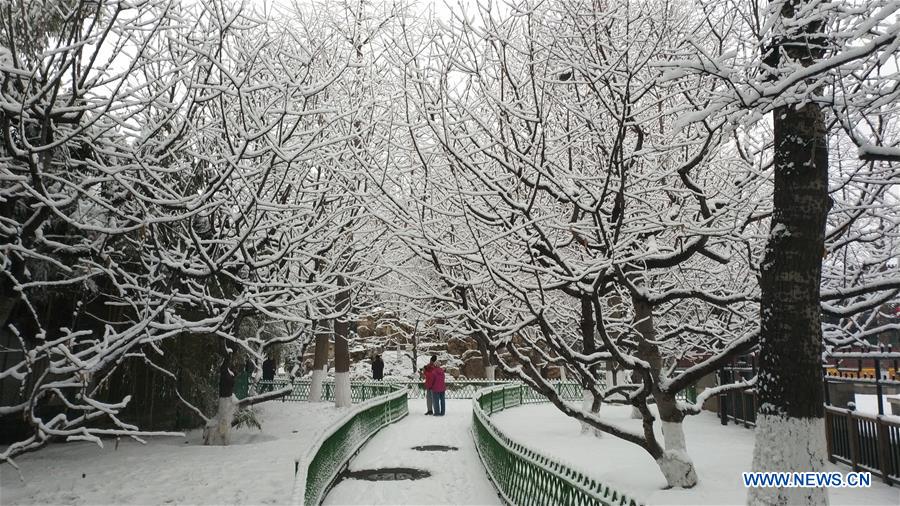 (BeijingCandid)CHINA-BEIJING-WINTER (CN)