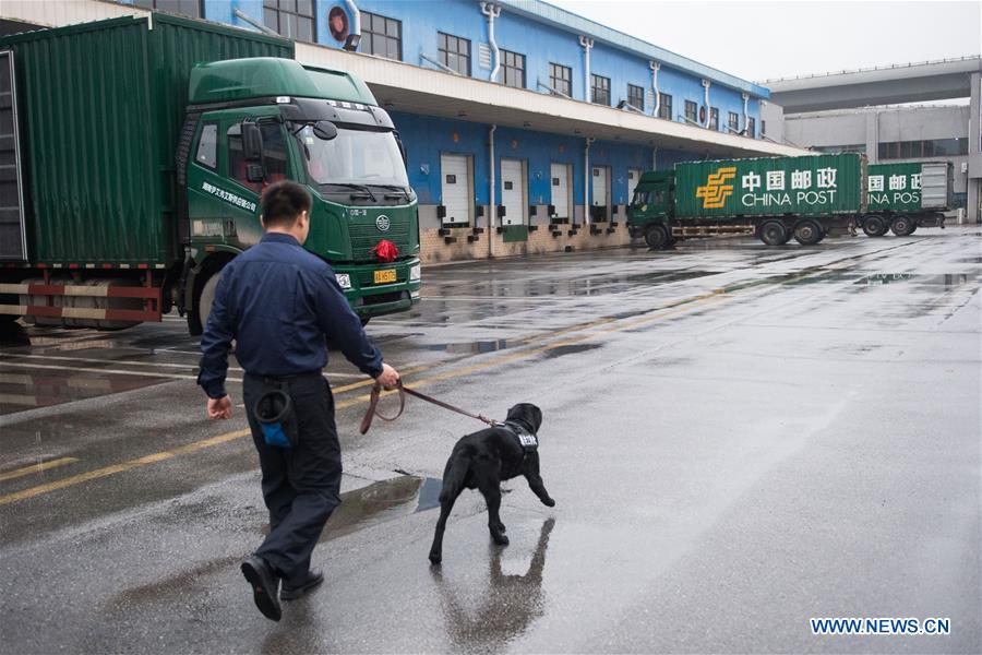 CHINA-HUNAN-CHANGSHA-SNIFFER DOG (CN)