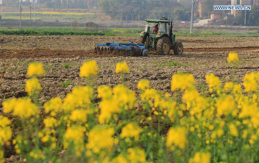 #CHINA-HUNAN-SPRING PLOUGHING(CN)