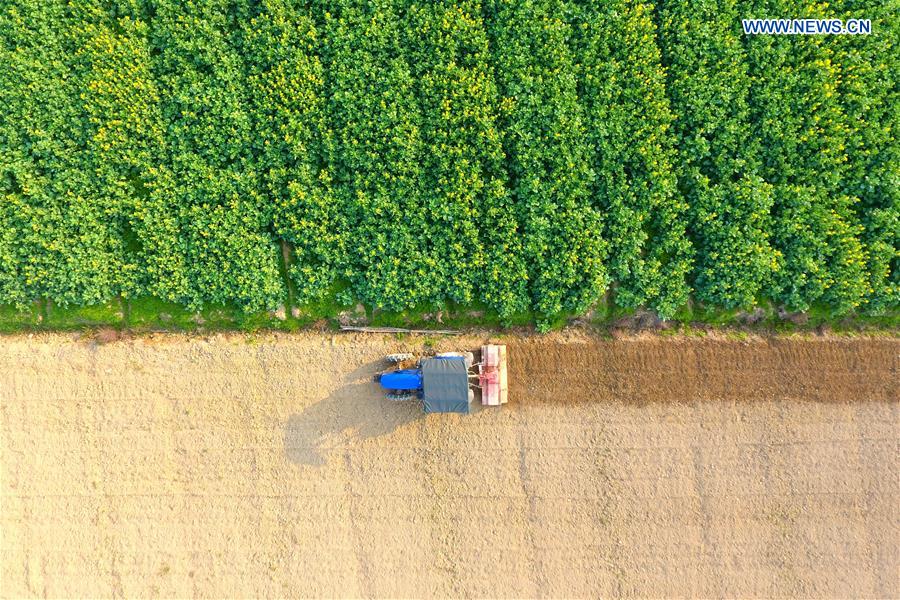 #CHINA-HUNAN-SPRING PLOUGHING(CN)