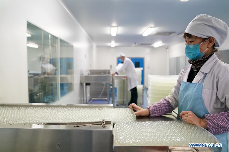 CHINA-HARBIN-PHARMACEUTICAL-PRODUCTION-RESUMPTION (CN)