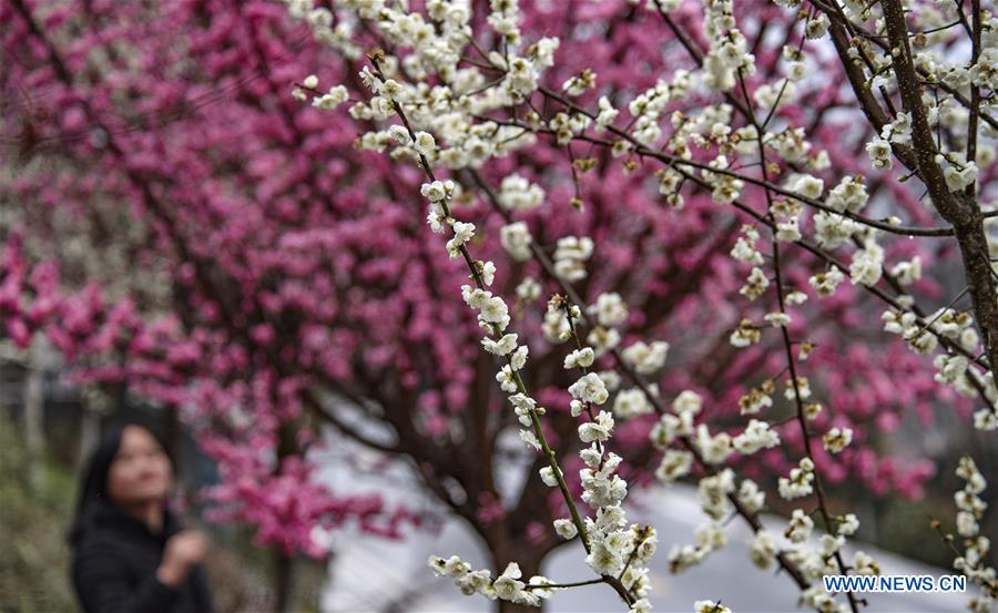 CHINA-SHAANXI-SPRING SCENERY (CN)