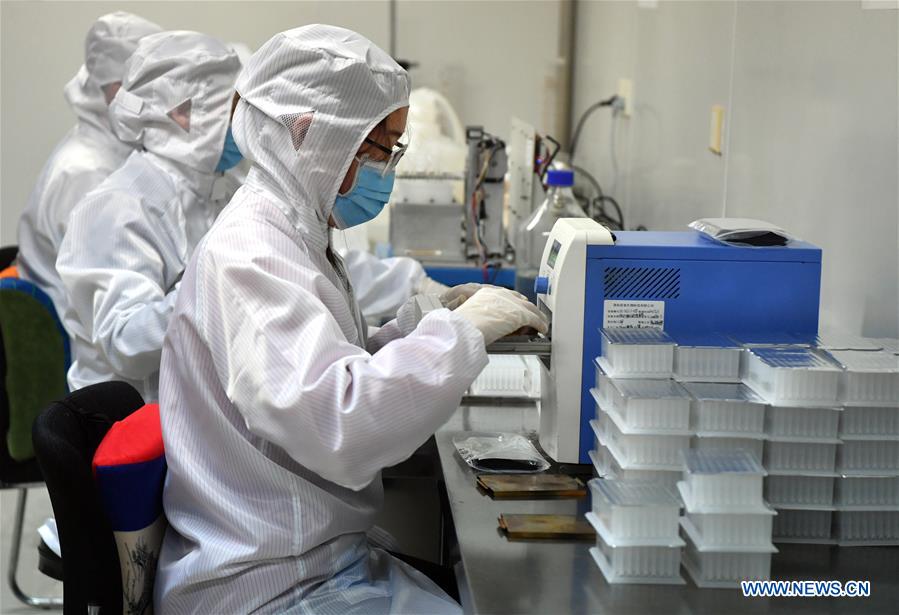 CHINA-HENAN-NUCLEIC ACID TEST KIT-PRODUCTION (CN)