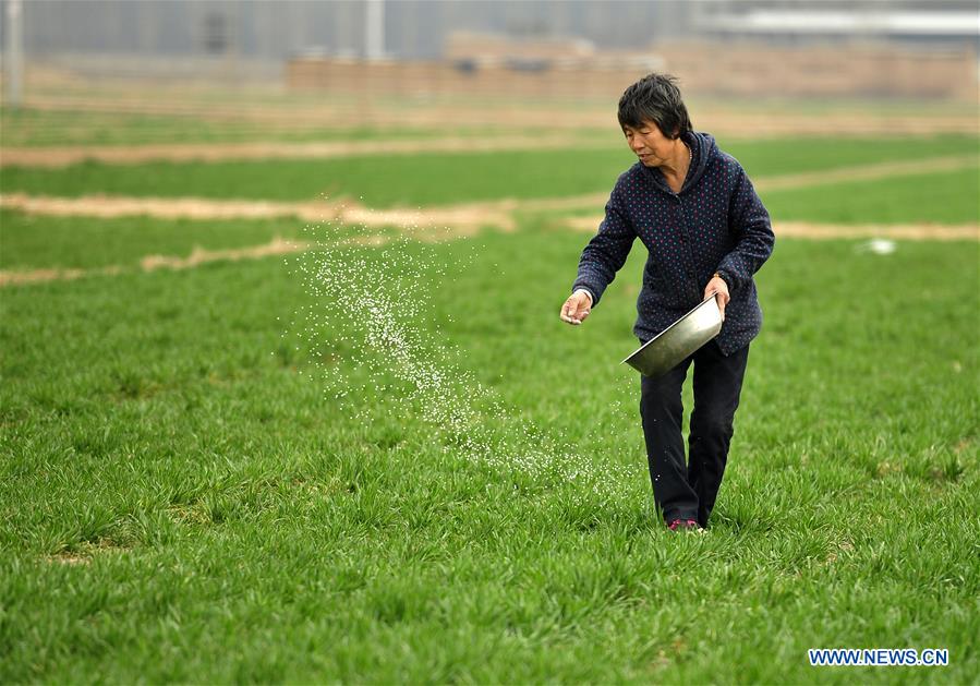 CHINA-HEBEI-BOTOU-SPRING FARMING (CN)