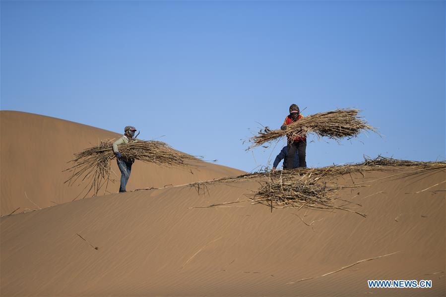 CHINA-INNER MONGOLIA-KUBUQI DESERT-DESERTIFICATION CONTROL (CN)