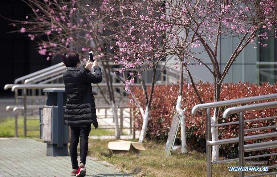 CHINA-WUHAN-COVID-19-SPRING-SCENERY (CN)