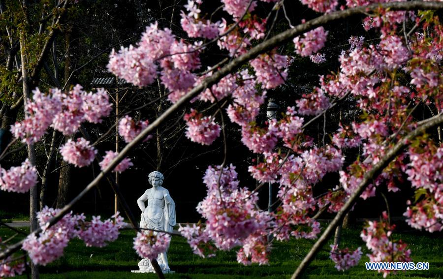 CHINA-HUBEI-WUHAN-SPRING SCENERY (CN)