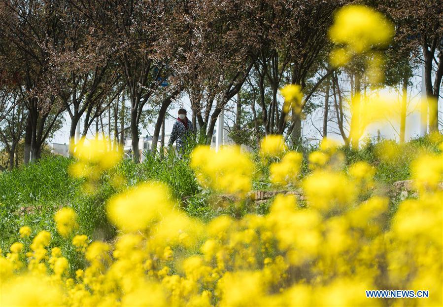 CHINA-HUBEI-WUHAN-SPRING SCENERY (CN)