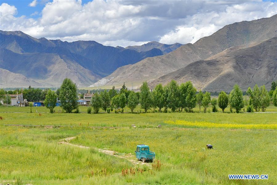 CHINA-TIBET-HIGHWAY-SCENERY(CN)