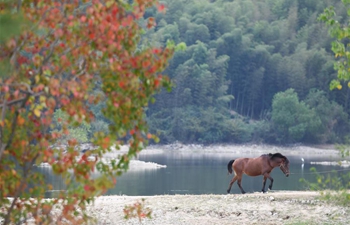 Autumn scenery in east China's Anhui