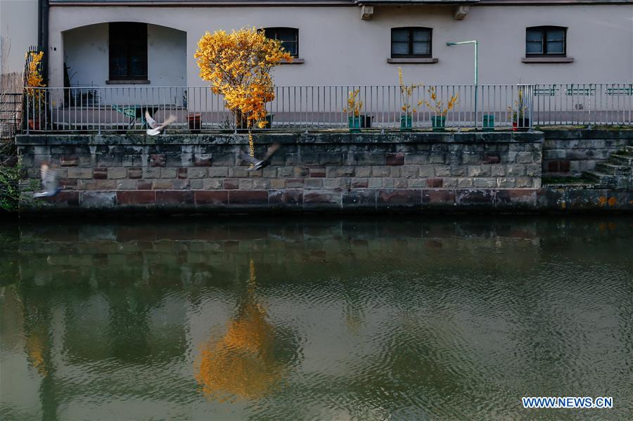 FRANCE-STRASBOURG-SPRING