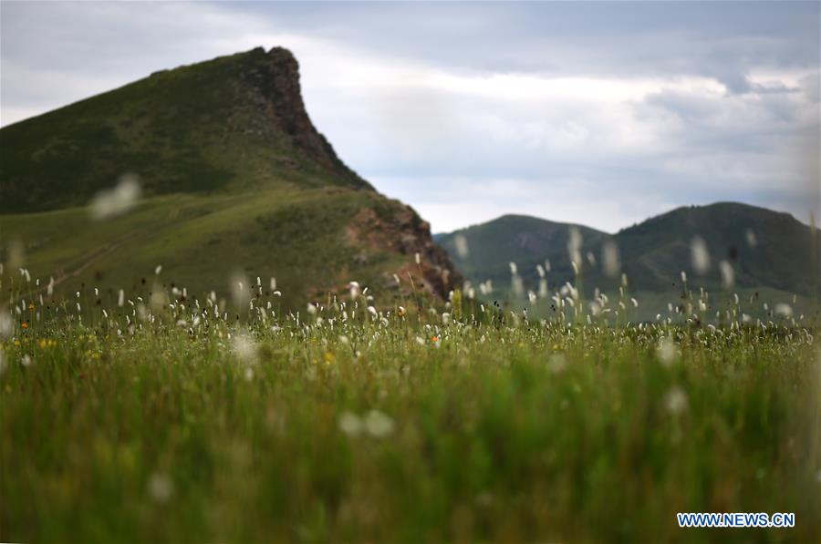 CHINA-INNER MONGOLIA-PASTURE SCENERY (CN)