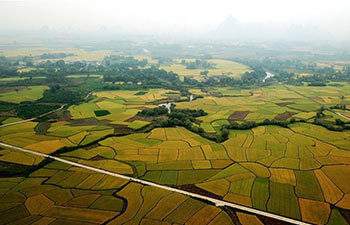 Autumn scenery in China's Guangxi