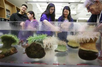 World Oceans Day marked in Vancouver, Canada