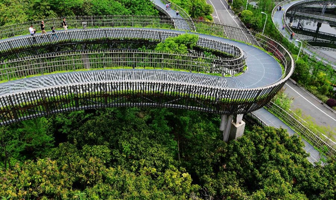 "Fudao" skywalk built among forest in Fuzhou