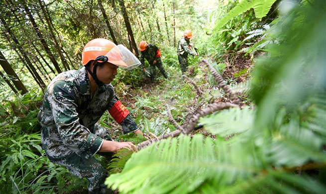 Forest rangers protect forest around water sources of Ganjiang River