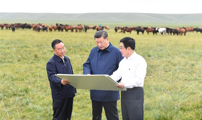 Xi makes inspection tour in Shandan, Gansu