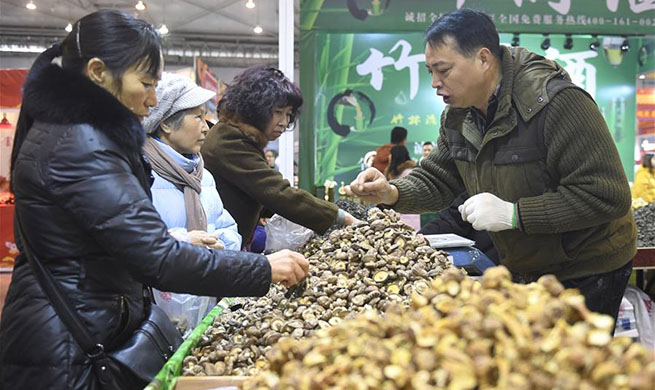 Shopping festival to greet Spring Festival held in Chengdu, SW China