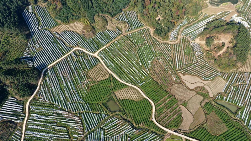 In pics: rural road network in Rongan County, Guangxi