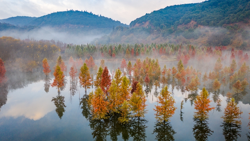 Xinhua photos of the week