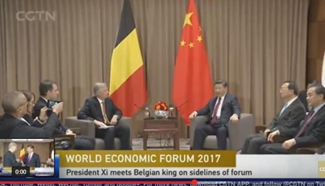 Chinese President Xi meets Belgian king on sidelines of World Economic Forum