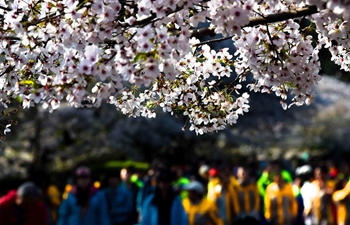 Flower appreciation event held in Qingdao, China's Shandong