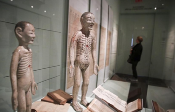 New York museum unveils groundbreaking show on traditional Chinese medicine