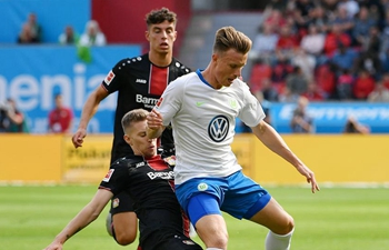 Hoffenheim, Wolfsburg win in German Bundesliga