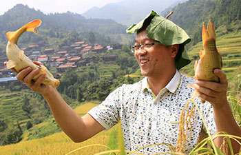 Miao ethnic group celebrate harvest in S China's Guangxi