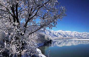 Amazing rime scenery in China's Tibet