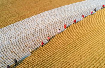 Farmers across China resume production